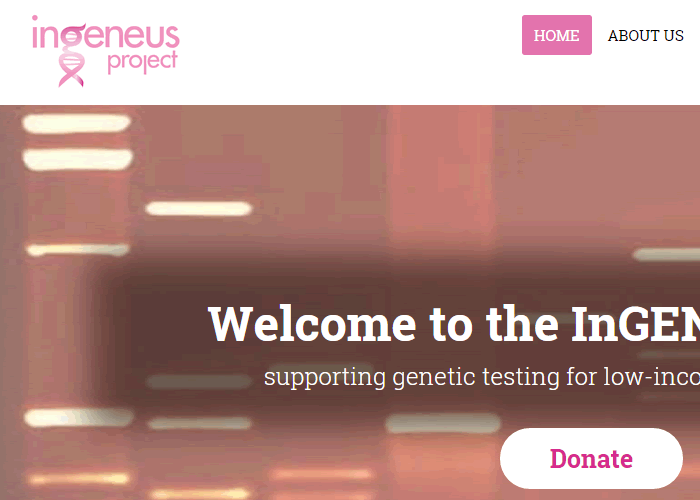 Ingeneus Project